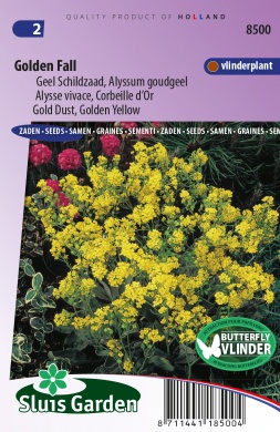 Strand-Silberkraut Golden Fall (Lobularia) 300 Samen SL